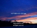 3-27-2021-CC-1311