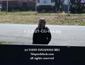4-3-2021-CC-664