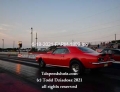 6-18-2021-FARM-1809