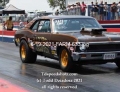 6-19-2021-FARM-633
