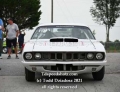 6-19-2021-FARM-3167