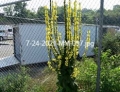 7-24-2021-MM-097