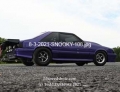 8-3-2021-SNOOKY-108