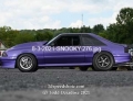 8-3-2021-SNOOKY-276