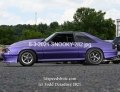 8-3-2021-SNOOKY-282