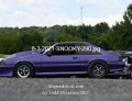 8-3-2021-SNOOKY-290