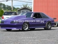 8-3-2021-SNOOKY-305