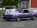 8-3-2021-SNOOKY-379
