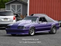 8-3-2021-SNOOKY-380