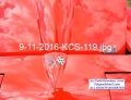 9-11-2016-KCS-119