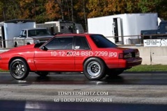 10-12-2024-BSD-2299