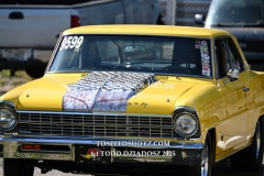 4-27-2025-DUCK-1062
