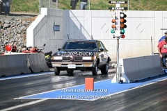 4-27-2025-DUCK-1117