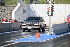 4-27-2025-DUCK-1118