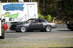 4-27-2025-DUCK-1143