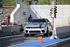 4-27-2025-DUCK-1146