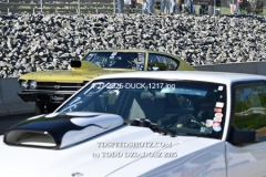 4-27-2025-DUCK-1217