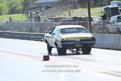 4-27-2025-DUCK-1219
