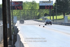 4-27-2025-DUCK-1245