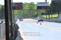 4-27-2025-DUCK-1247