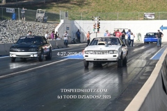 4-27-2025-DUCK-1271
