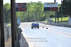 4-27-2025-DUCK-1297