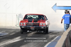 4-27-2025-DUCK-1303