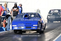 4-27-2025-DUCK-1331