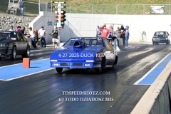 4-27-2025-DUCK-1337