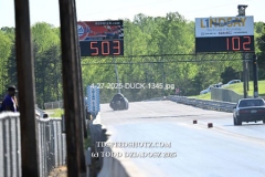 4-27-2025-DUCK-1345