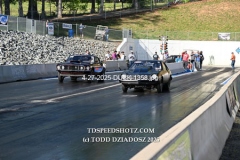 4-27-2025-DUCK-1358