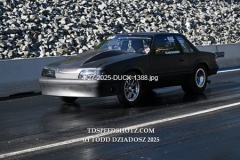 4-27-2025-DUCK-1388