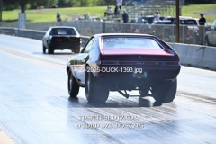4-27-2025-DUCK-1393