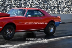 4-27-2025-DUCK-1420
