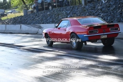 4-27-2025-DUCK-1422
