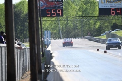 4-27-2025-DUCK-1443