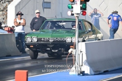 4-27-2025-DUCK-1450