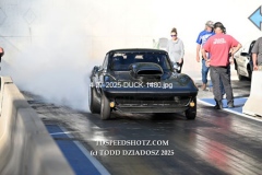 4-27-2025-DUCK-1480