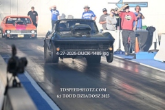 4-27-2025-DUCK-1485