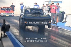 4-27-2025-DUCK-1486
