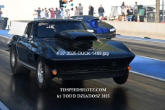 4-27-2025-DUCK-1489