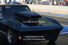 4-27-2025-DUCK-1490