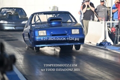 4-27-2025-DUCK-1524