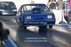 4-27-2025-DUCK-1526