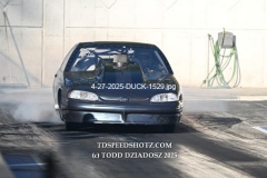 4-27-2025-DUCK-1529