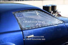 4-27-2025-DUCK-1541
