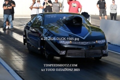 4-27-2025-DUCK-1565