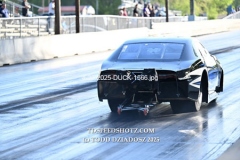 4-27-2025-DUCK-1566