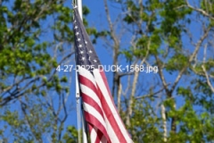 4-27-2025-DUCK-1568
