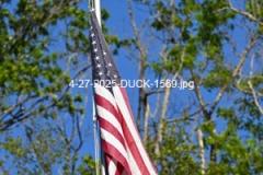 4-27-2025-DUCK-1569